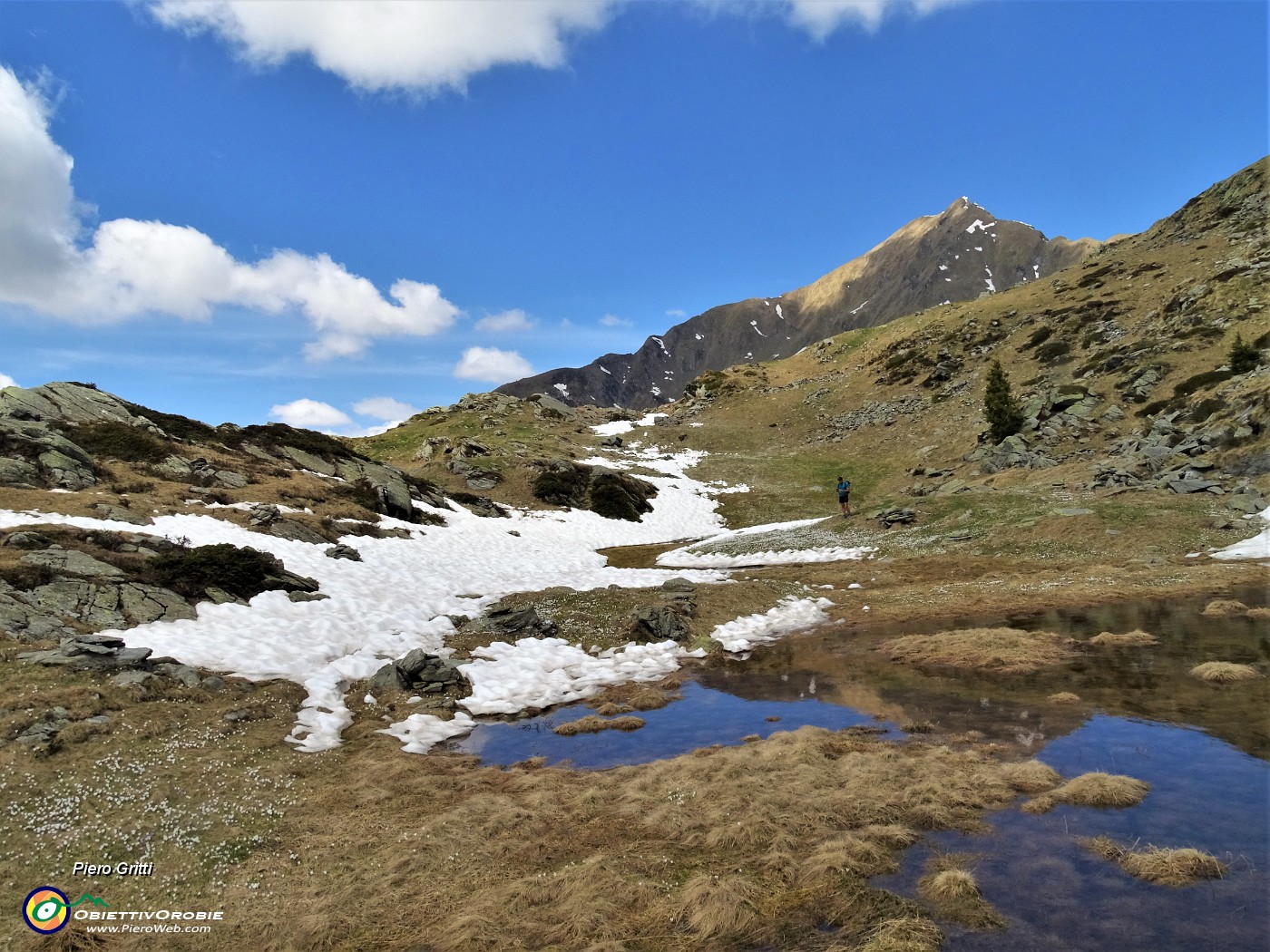 38 Bel valloncello con neve in disgelo, belle pozze d'acqua,distese di  Crocus vernus .JPG